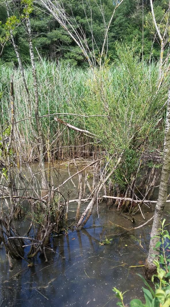 K800_20180710_144508